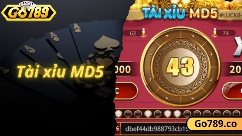 Top game tài xỉu GO789 hot không thể bỏ qua tài xỉu MD5