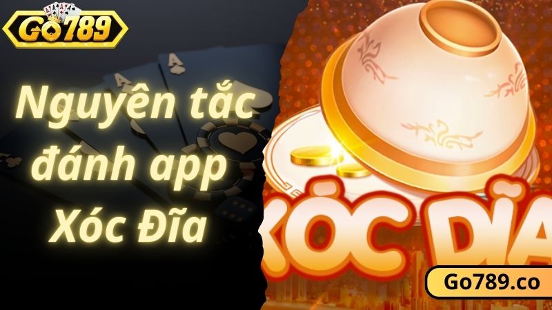 Tìm hiểu nguyên tắc đánh app Xóc Đĩa GO789 cực dễ 