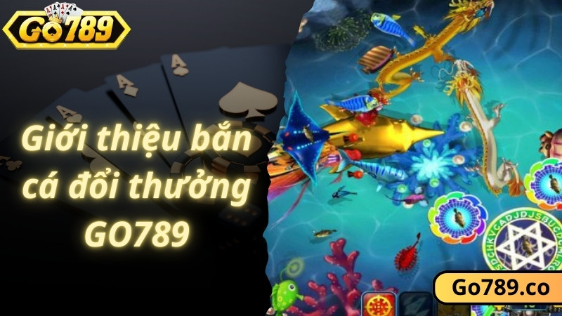 Giới thiệu về bắn cá đổi thưởng GO789