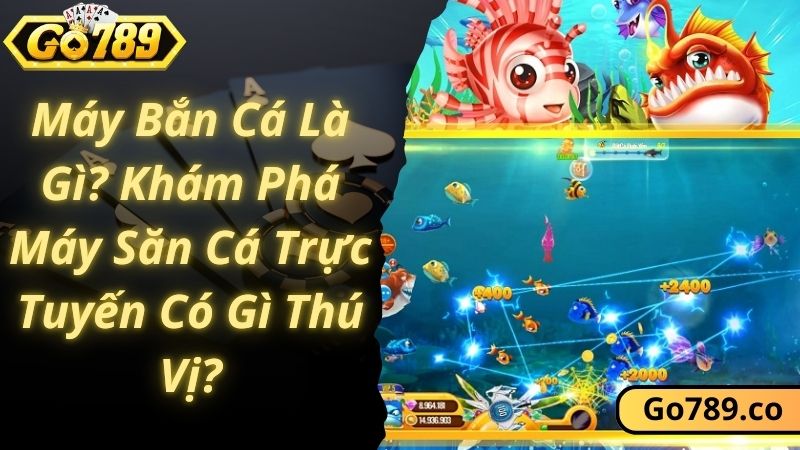 Máy Bắn Cá Là Gì? Khám Phá Máy Săn Cá Trực Tuyến Có Gì Thú Vị?